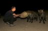 <p>Balázs Buzás feed wild Spotted Hyenas (<em>Crouta crocuta</em>) near the Fallana Gate in Harar, ETHIOPIA</p>